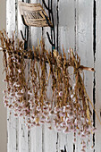 Dried flower bundles on white painted wooden wall