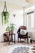 Living room with cat, vintage armchair and hanging plant