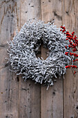 Winter wreath of dried baby's-breath with red berries on a wooden wall