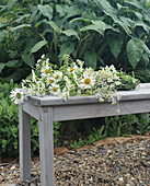 Bouquet of meadow flowers with daisies on grey wooden bench in the garden