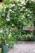 Garden seating area with flowering plants