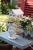 Decoration with variegated Mühlenbeckia, bust, small house, zinc tray