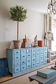 Blue-painted apothecary cabinet with a shabby chic look and potted plant