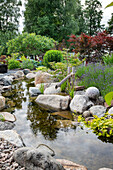 Japanese garden with small stream and lavender