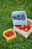 Small fruit bowls made from oilcloth on a flowering meadow