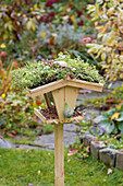 Birdhouse with green roof in autumn garden