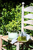 Vintage-Stuhl im Garten mit Frauenmantel (Alchemilla) in grünem Krug und Glas
