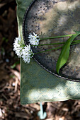 Wild garlic on a plate and patterned garden table