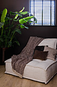 Cosy reading corner with large green plant and beige armchair