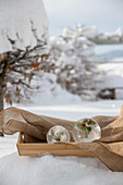 Christmas ice decoration with fir branches in the winter garden