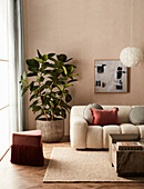 Cosy living room with beige bouclé sofa and large rubber tree