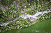 Flussaue de Baches Rom im Valmüstair / Graubünden im Frühling mit frischgrün austreibenden Bäumen und blühenden Trauben-Kirschen.