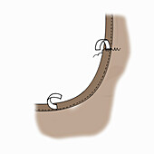 Illustration of a saddler's seam on brown leather