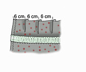 Folding instructions with 6 cm spacing, illustrated