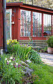 Garden with spring flowers in front of a red garden shed with large windows