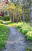 Narrow gravel path leads through blooming spring garden