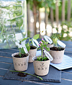 DIY growing pots with names for summer parties