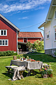Picnic table with linen tablecloth and garden flowers between red and white wooden houses