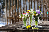 Spring-like snowdrops (Galanthus) and crocuses in crystal vases on a rustic wooden table