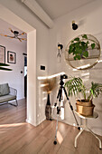 Room corner with plants, camera with tripod and wall decoration