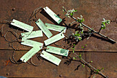 Labels for labelling trees and shrubs
