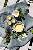 Goutweed ointment for scars