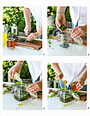 Make sour honey (oxymel) with chervil