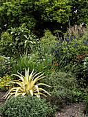 Distillery Botanica's rum garden is filled with tropical varieties