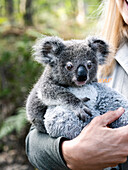 Woman holds little koala in her arms