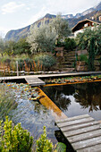 Natural bathing pond with wooden jetty and water lilies