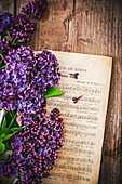 Bouquet of lilacs on sheet music