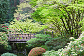 Fußgängerbrücke aus Holz im Japanischen Garten, Portland, Oregon, Vereinigte Staaten von Amerika