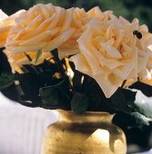 Lachsfarbene Rosen in einer Vase & eine Hummel
