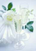 Two champagne glasses and a white rose