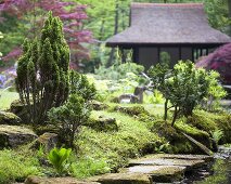 Bemooste Steine und Bonsaibäume in japanischem Garten mit Teehaus im Hintergrund