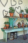 Potted plants on old wooden benches by wall