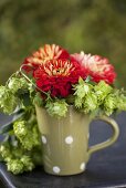 Pompom dahlias and hops in ceramic mug