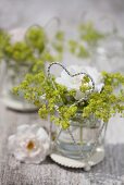 Lady's mantle and rose in glass