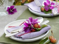 Napkin decorations (mallow flowers and crab apples)