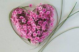 Grasses and phlox flowers forming a heart