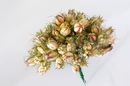 Posy of nigella seed pods