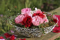 Roses on moss in wire basket