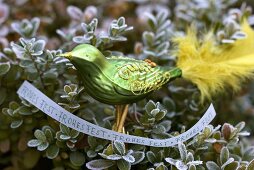Green glass bird with Christmas greeting on box tree