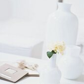 Stillleben mit einer gelben Rose, Fotoalben und Vasen