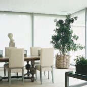 A dining room with houseplants and bust in background