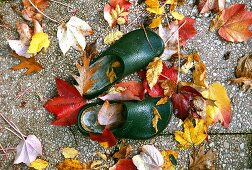 Garden shoes in autumnal leaves, seen from above