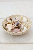 Assorted shells in a dish