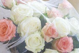 Blumenstrauss aus weissen und rosa Rosen unter einem Schleier
