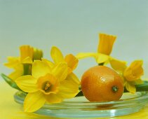 Gelbe Narzissenblüten und eine Orange liegen in der Glasschale