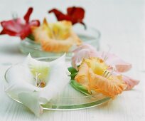 Flowers in bowls